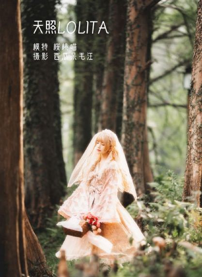 电影儿子的妻子