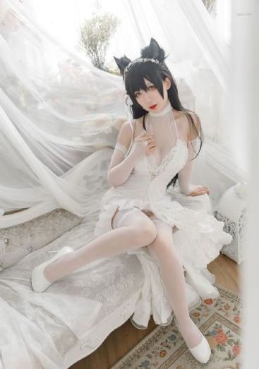 万物理论国语版免费观看完整
